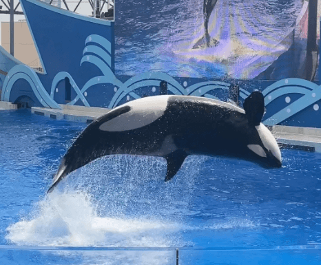 海昌海洋公园